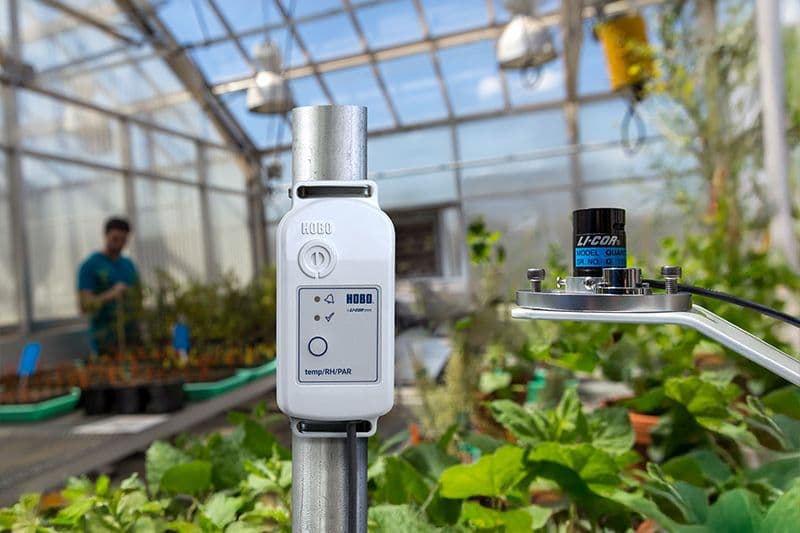 MX2308 in a greenhouse