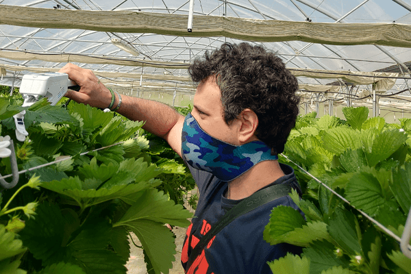 Mirko Umberto Granata using the LI-COR LI-600 Porometer/Fluorometer