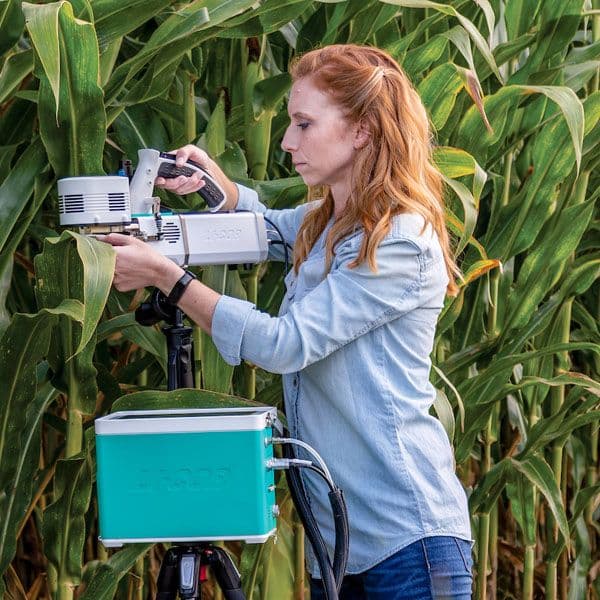 measuring a corn field with a LI-6800