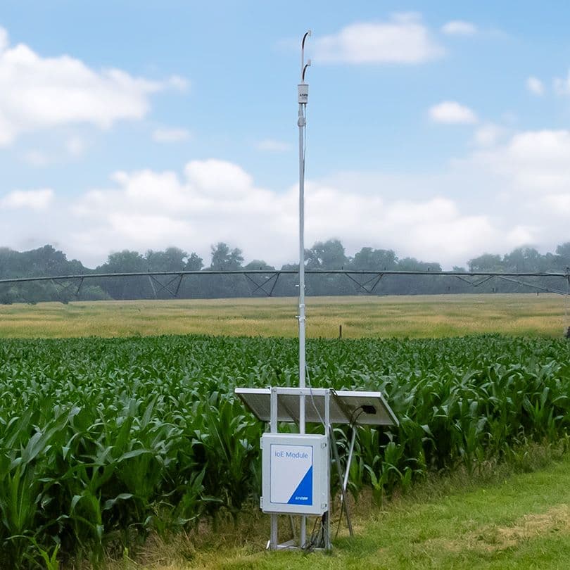 the water node in a corn field
