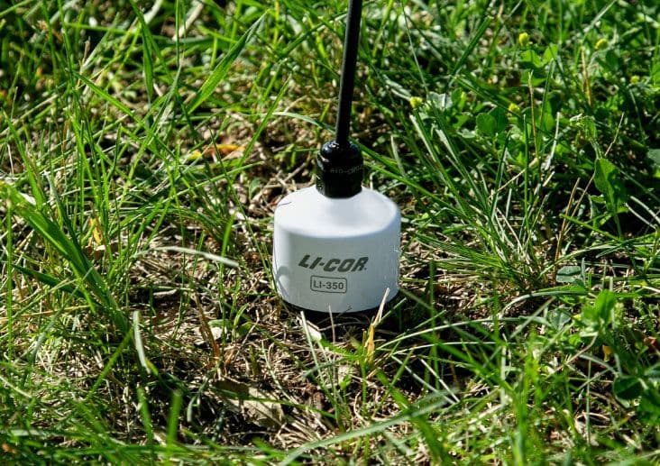 LI-350 soil moisture probe laying on top of dirt next to a plant