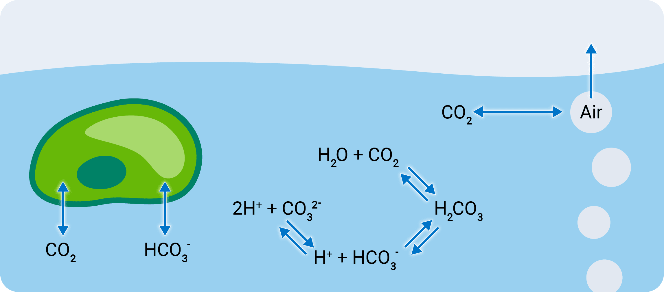 CO2 transfer from air to water
