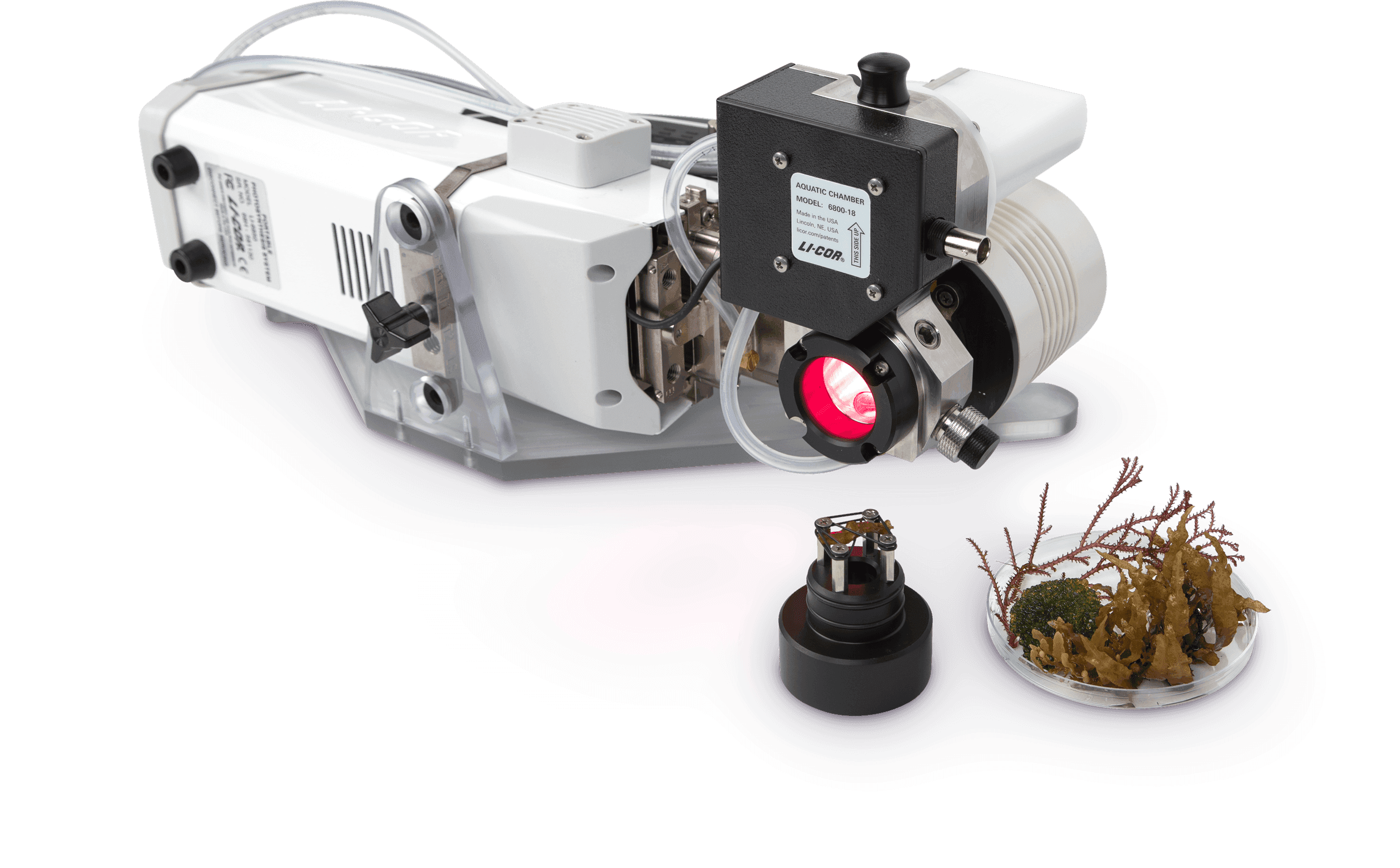 LI-6800-18 aquatic chamber with algae