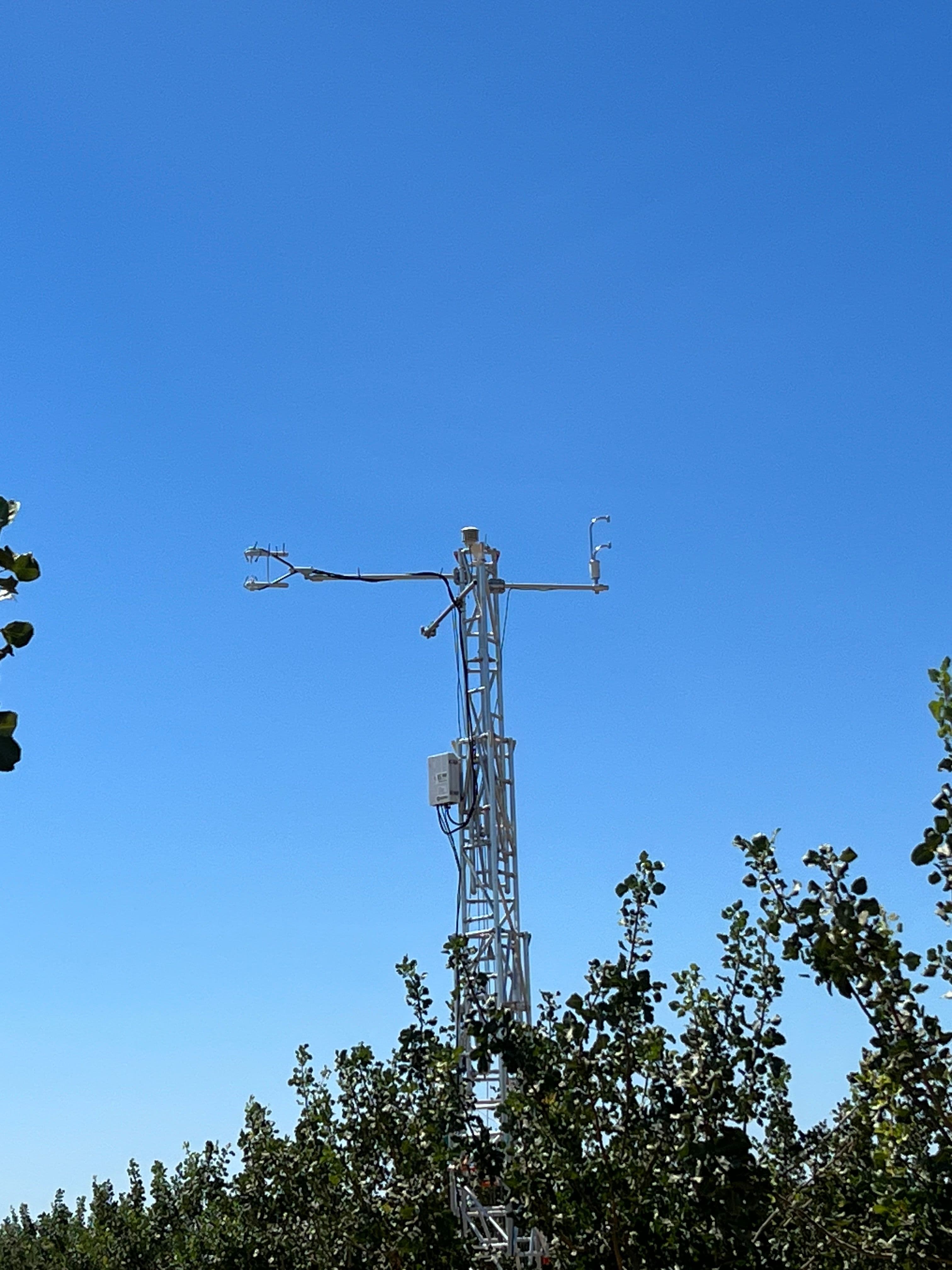 LI-COR LI-710 Evapotranspiration Sensor in a pistachio orchard