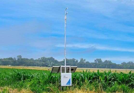 LI-6800 in a rice field